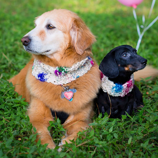 Celebration Canine Knit Kit