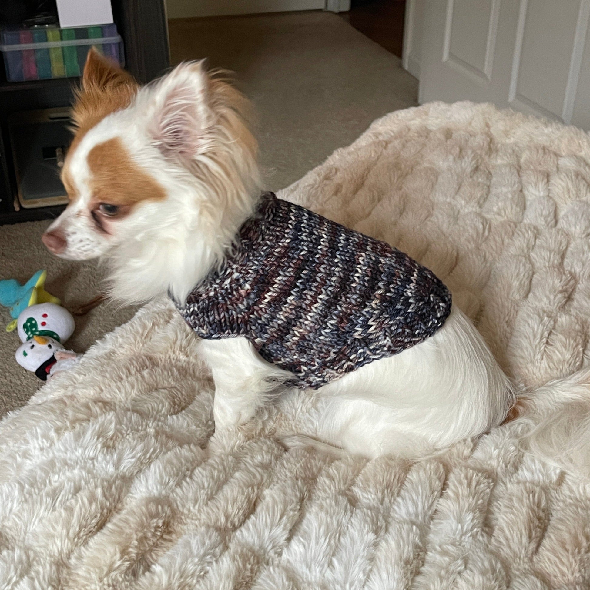 Johnny Cash's Dog Sweater Pattern - Digital Pattern