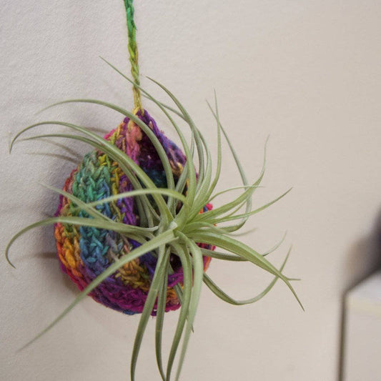 Tiered Air Plant Hanger Knit or Crochet Kit - view 2